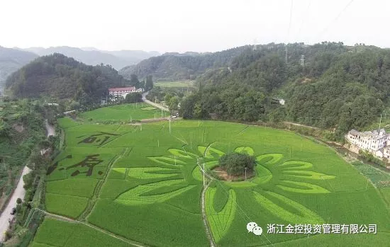 金控管理公司受邀出席2018乡村振兴 · 旅游先行高峰论坛